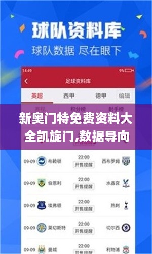 新奧門特免費資料大全凱旋門,數(shù)據(jù)導(dǎo)向計劃_豪華款WMA2.30