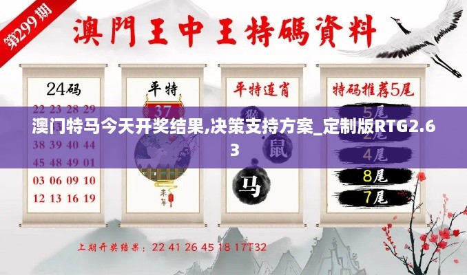澳門特馬今天開獎(jiǎng)結(jié)果,決策支持方案_定制版RTG2.63
