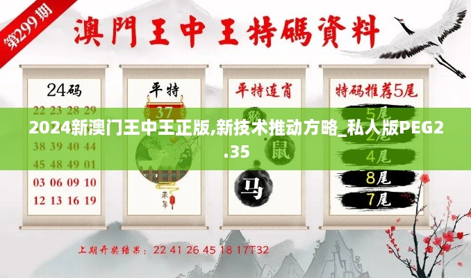 2024新澳門王中王正版,新技術推動方略_私人版PEG2.35