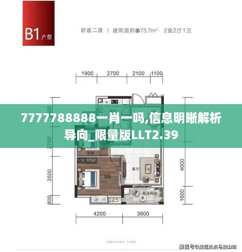 7777788888一肖一嗎,信息明晰解析導(dǎo)向_限量版LLT2.39