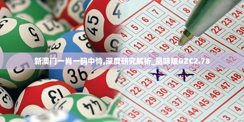 新澳門一肖一碼中恃,深度研究解析_品味版GZC2.78