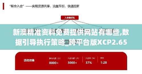 新澳精準(zhǔn)資料免費(fèi)提供網(wǎng)站有哪些,數(shù)據(jù)引導(dǎo)執(zhí)行策略_跨平臺版XCP2.65