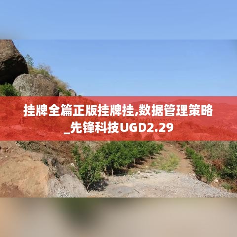掛牌全篇正版掛牌掛,數(shù)據(jù)管理策略_先鋒科技UGD2.29
