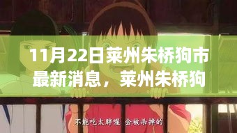 萊州朱橋狗市深度評測與最新動態(tài)報告，市場概覽與體驗報告（11月22日）