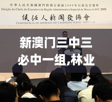 2024年11月 第396頁
