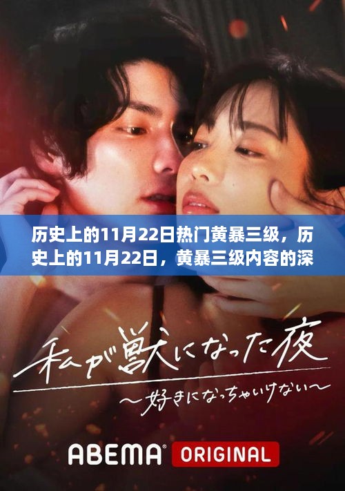 關(guān)于歷史上的黃暴三級事件深度探討與觀點碰撞，11月22日的回顧與反思