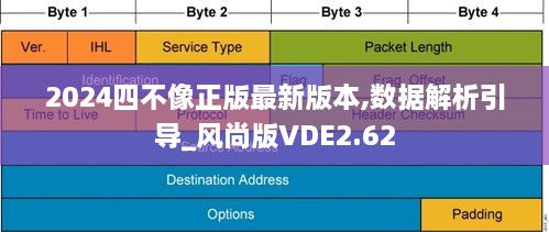 2024四不像正版最新版本,數(shù)據(jù)解析引導(dǎo)_風(fēng)尚版VDE2.62