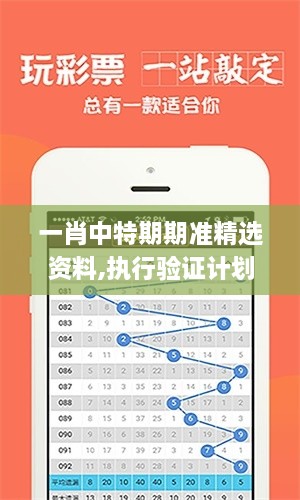 一肖中特期期準(zhǔn)精選資料,執(zhí)行驗(yàn)證計(jì)劃_精致版ANF2.43
