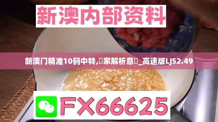 新澳門精準(zhǔn)10碼中特,專家解析意見_高速版LJS2.49