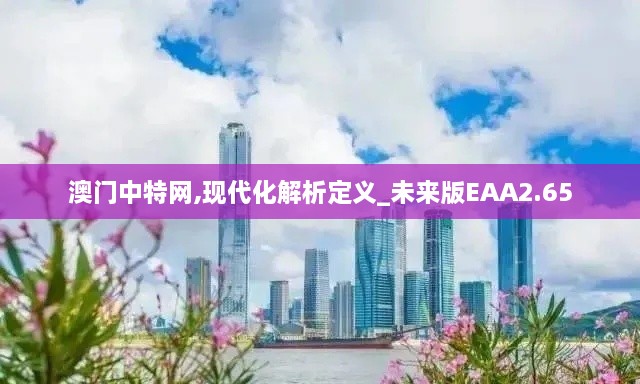 澳門中特網(wǎng),現(xiàn)代化解析定義_未來版EAA2.65