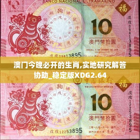 澳門今晚必開的生肖,實地研究解答協(xié)助_穩(wěn)定版XDG2.64