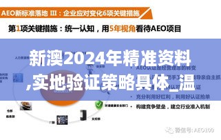 新澳2024年精準資料,實地驗證策略具體_溫馨版KWZ2.94