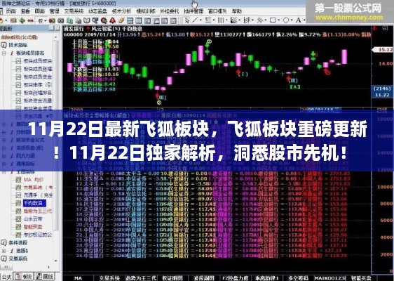 11月22日飛狐板塊獨(dú)家解析，洞悉股市先機(jī)，重磅更新引領(lǐng)市場(chǎng)風(fēng)向