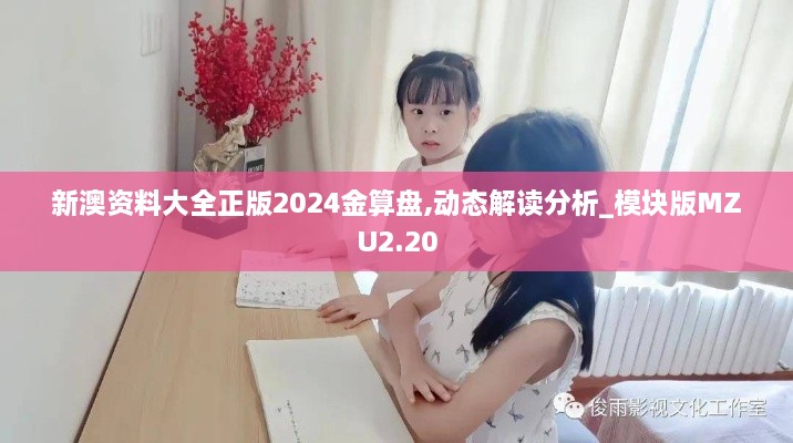 新澳資料大全正版2024金算盤,動態(tài)解讀分析_模塊版MZU2.20