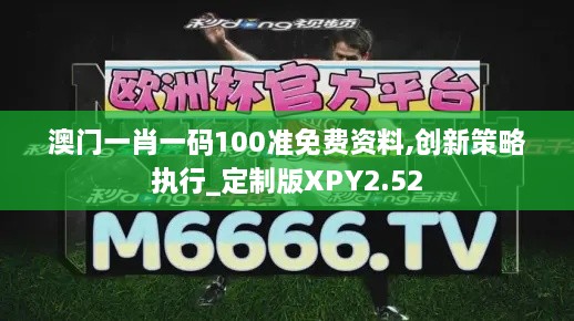 澳門一肖一碼100準(zhǔn)免費資料,創(chuàng)新策略執(zhí)行_定制版XPY2.52