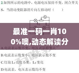 最準一碼一肖100%噢,動態(tài)解讀分析_互助版FPX2.86