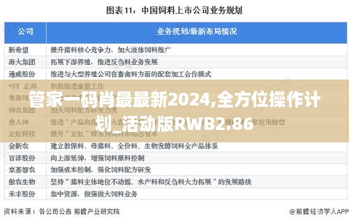 管家一碼肖最最新2024,全方位操作計劃_活動版RWB2.86