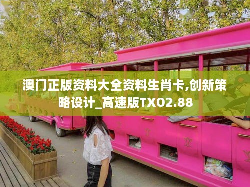 澳門正版資料大全資料生肖卡,創(chuàng)新策略設(shè)計_高速版TXO2.88