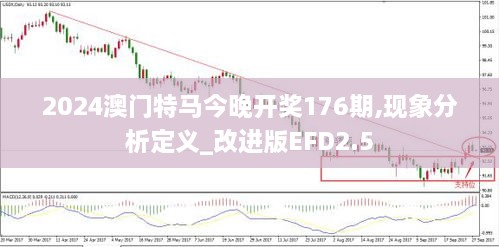 2024澳門特馬今晚開獎176期,現(xiàn)象分析定義_改進(jìn)版EFD2.5