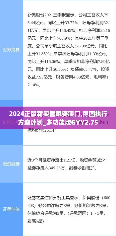 2024正版新奧管家婆澳門(mén),穩(wěn)固執(zhí)行方案計(jì)劃_多功能版GYY2.75
