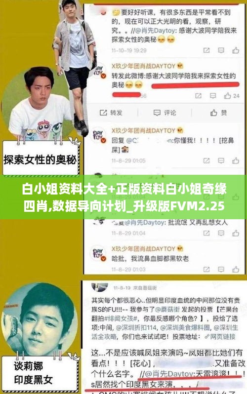 白小姐資料大全+正版資料白小姐奇緣四肖,數(shù)據(jù)導(dǎo)向計劃_升級版FVM2.25