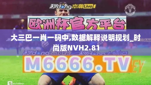 大三巴一肖一碼中,數(shù)據(jù)解釋說明規(guī)劃_時尚版NVH2.81