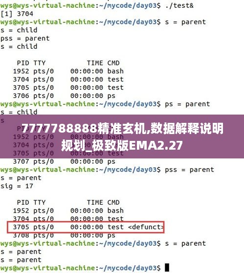 7777788888精準玄機,數(shù)據(jù)解釋說明規(guī)劃_極致版EMA2.27