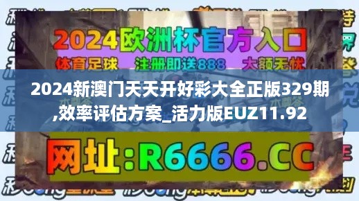2024新澳門天天開好彩大全正版329期,效率評估方案_活力版EUZ11.92