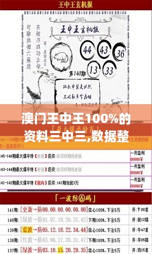 澳門(mén)王中王100%的資料三中三,數(shù)據(jù)整合決策_(dá)專業(yè)版GXB2.20