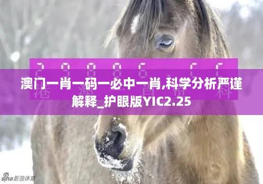 澳門一肖一碼一必中一肖,科學分析嚴謹解釋_護眼版YIC2.25