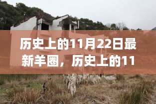 歷史上的11月22日最新羊圈，全面評測與介紹