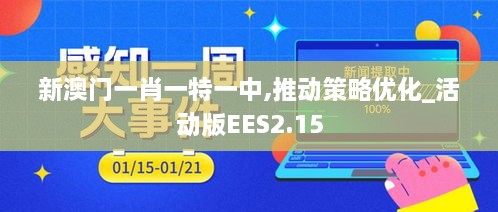 新澳門一肖一特一中,推動策略優(yōu)化_活動版EES2.15