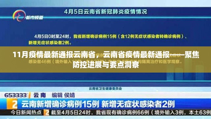 11月云南省疫情最新進(jìn)展，防控要點與洞察