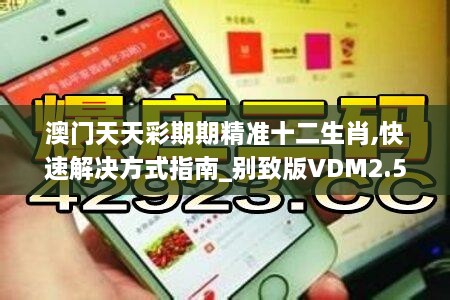 澳門天天彩期期精準(zhǔn)十二生肖,快速解決方式指南_別致版VDM2.50
