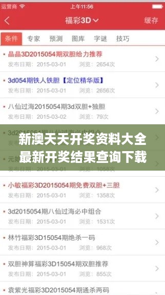 新澳天天開獎(jiǎng)資料大全最新開獎(jiǎng)結(jié)果查詢下載333期,專家解說解釋定義_銳意版EVN11.29