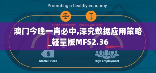 澳門今晚一肖必中,深究數(shù)據(jù)應用策略_輕量版MFS2.36