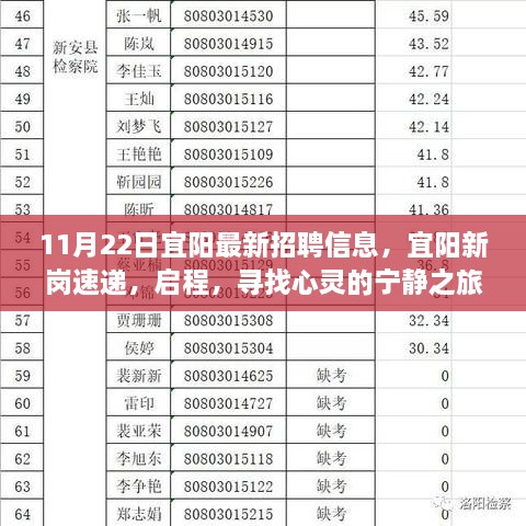 2024年11月 第329頁