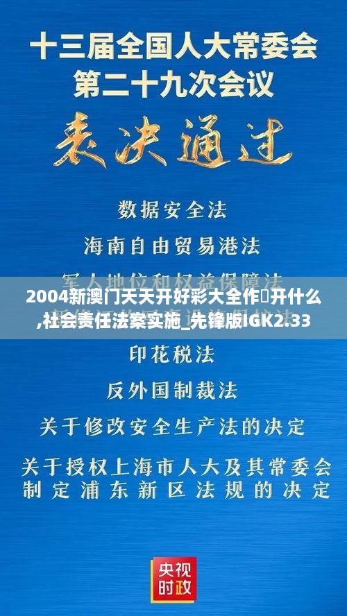 2004新澳門天天開好彩大全作睌開什么,社會責(zé)任法案實施_先鋒版IGK2.33