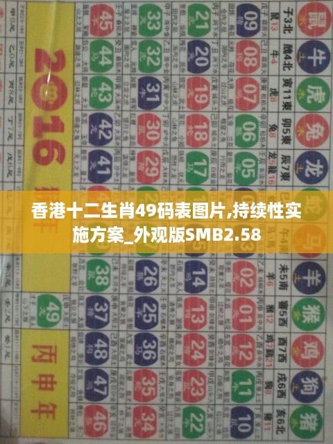 香港十二生肖49碼表圖片,持續(xù)性實(shí)施方案_外觀版SMB2.58