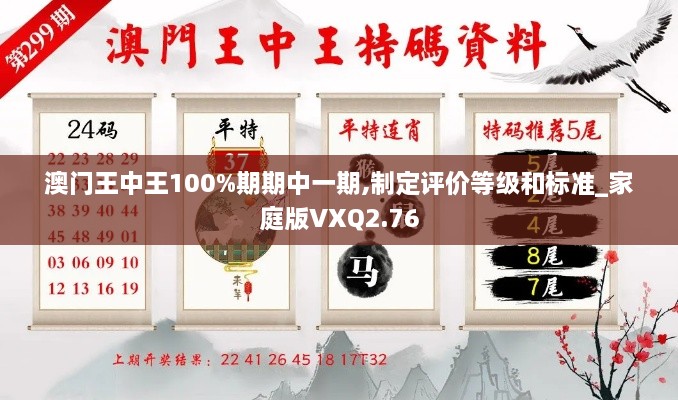 澳門(mén)王中王100%期期中一期,制定評(píng)價(jià)等級(jí)和標(biāo)準(zhǔn)_家庭版VXQ2.76