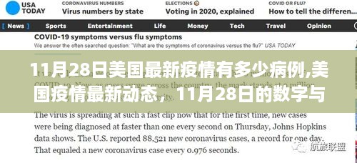 美國疫情最新動(dòng)態(tài)，11月28日病例數(shù)字與影響洞察