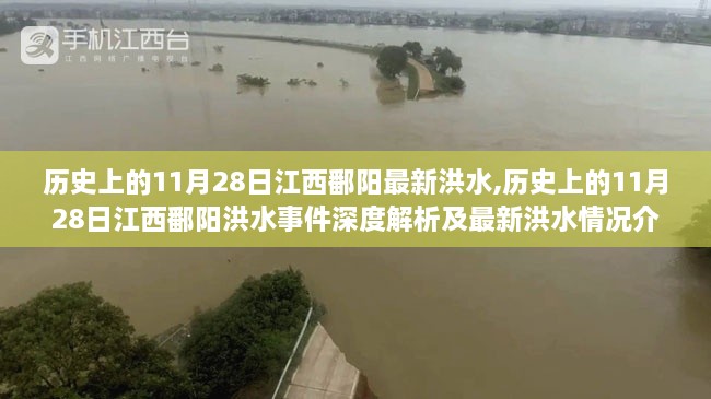 歷史上的11月28日江西鄱陽洪水事件深度解析與最新洪水情況介紹