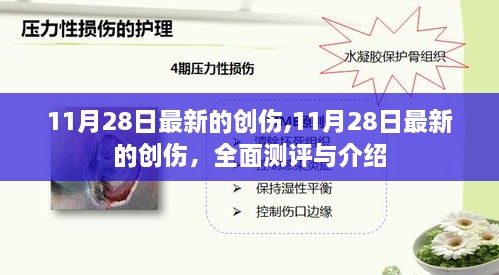 最新創(chuàng)傷解析，全面測評與介紹，聚焦11月28日