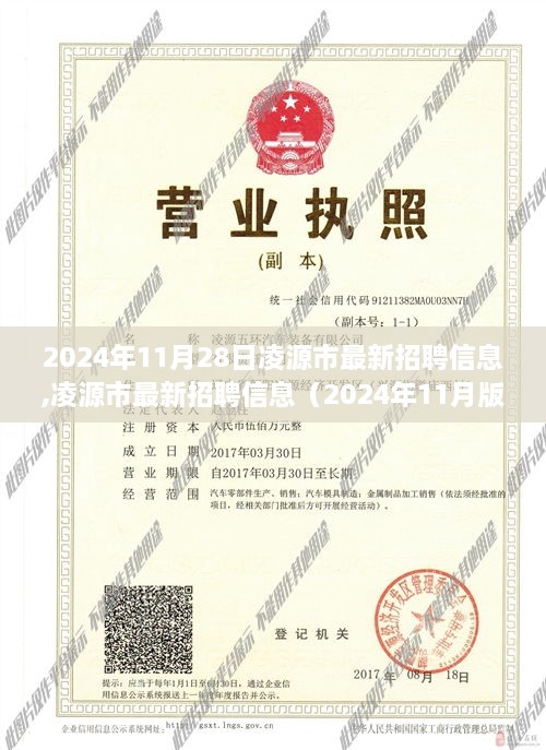 凌源市最新招聘信息深度測評與介紹（2024年11月版）