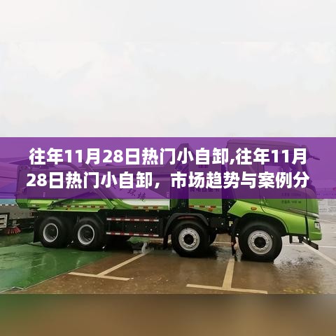 往年11月28日熱門小自卸的市場趨勢(shì)與案例分析，趨勢(shì)洞察與深度解讀