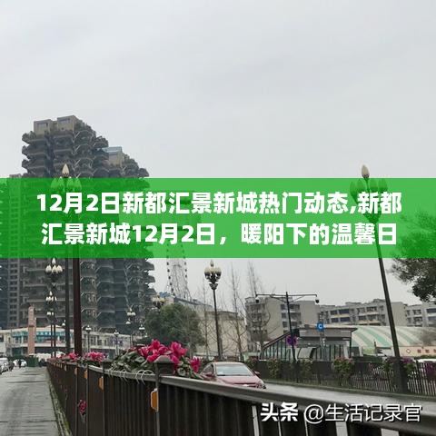 新都匯景新城12月2日溫馨日常與友情分享日