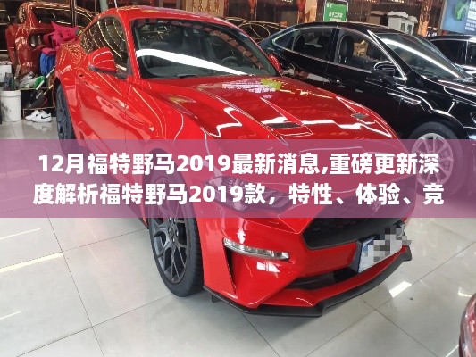 深度解析，福特野馬2019款重磅更新，特性、體驗(yàn)、競(jìng)品對(duì)比及用戶(hù)洞察揭秘！