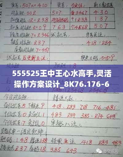 555525王中王心水高手,靈活操作方案設(shè)計_8K76.176-6