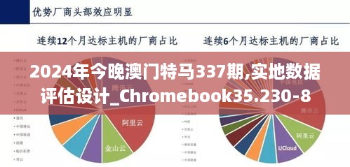 2024年今晚澳門(mén)特馬337期,實(shí)地?cái)?shù)據(jù)評(píng)估設(shè)計(jì)_Chromebook35.230-8