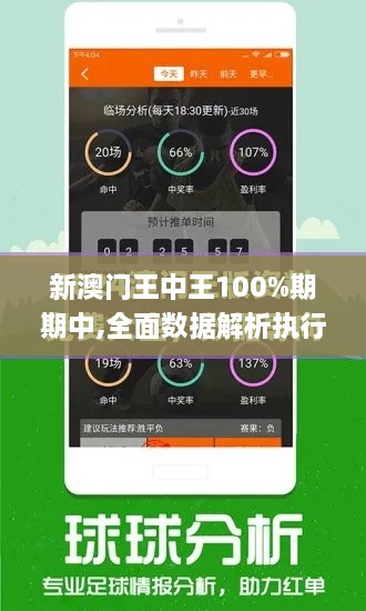 新澳門王中王100%期期中,全面數(shù)據(jù)解析執(zhí)行_PT3.210-3